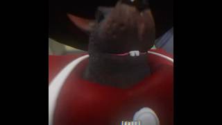 Game : the waiting room on Roblox