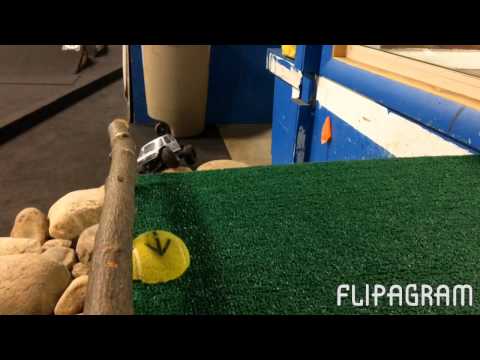 2017 indoor trail blazing