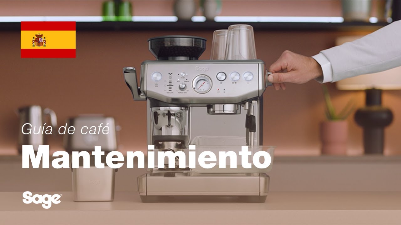 Cómo realizar un ciclo de limpieza