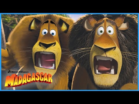 Wild in Africa! 🦁🌴 Ultimate Compilation!  | DreamWorks Madagascar