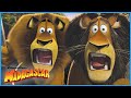 Wild In Africa Ultimate Compilation DreamWorks Madagascar