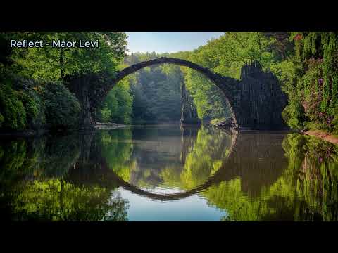 Reflect - Maor Levi