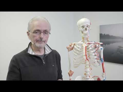 Intro to Matrix Repatterning — click to watch