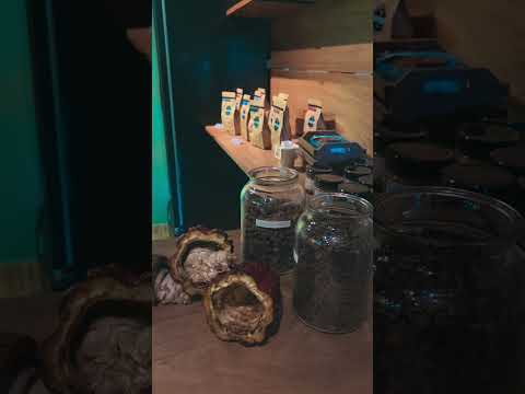 Colônia Witmarsum · Mini Vlog 🌵🪻 Palmeira · Curitiba · Paraná · Country Aesthetic · Lavandário