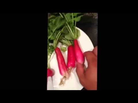 download lagu mp3 mp4 Types Of Radishes, download lagu Types Of Radishes gratis, unduh video klip Types Of Radishes