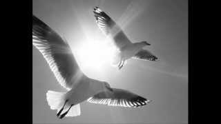 I Hear Angels Lyrics