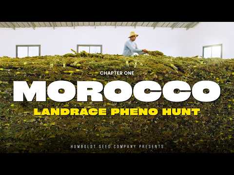 Humboldt Seed Company and Home Grow TV