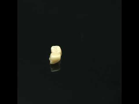 YouTube 썸네일
