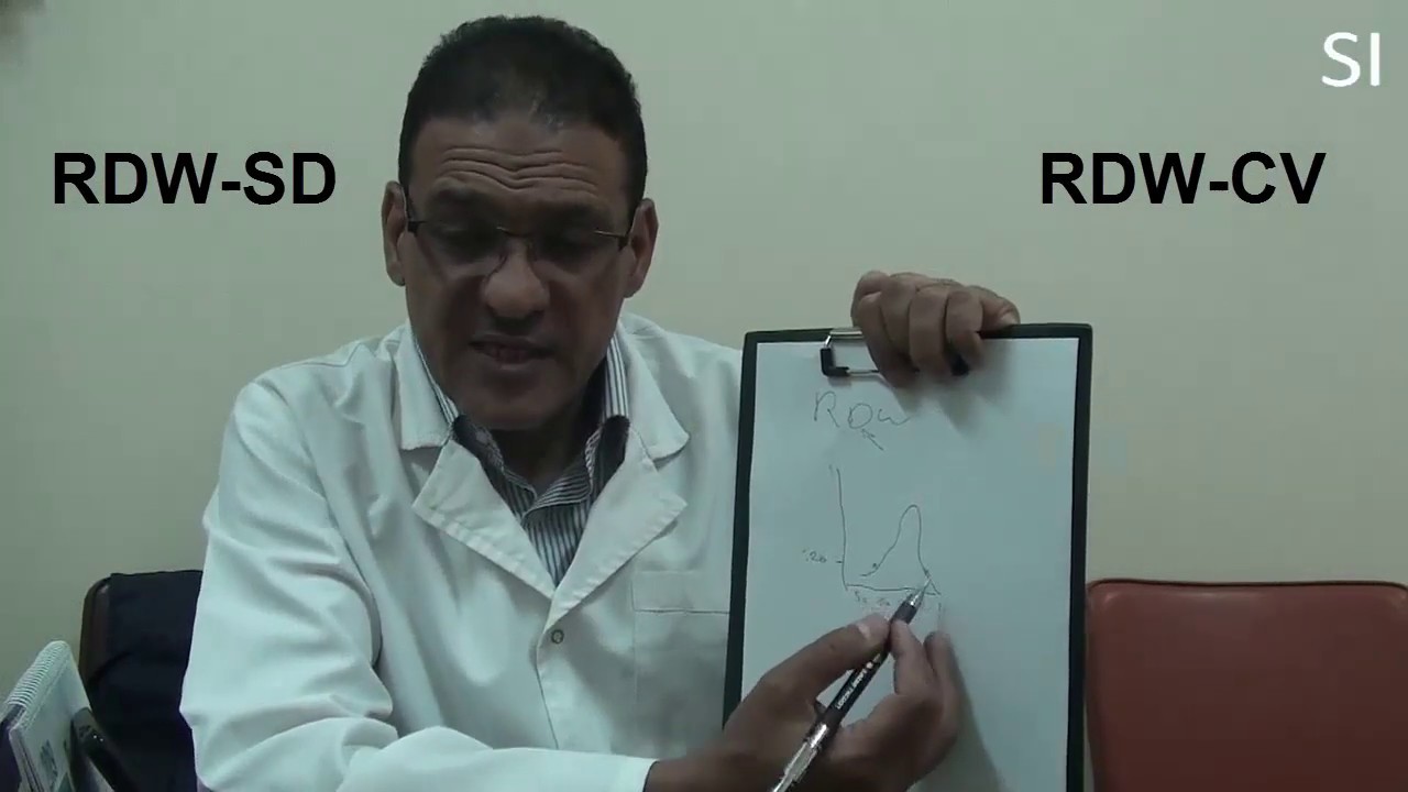 Rdw-cvとは 血液検査