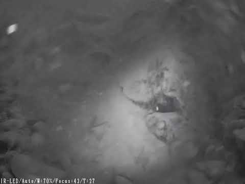 deep water inspection using IR 5MP camera in Maharashtra India