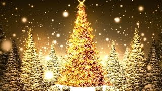 "The True Essence of Love" Christmas with Mother Teresa and the First Family. Vancouver, BC.