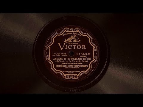 Lonesome in the Moonlight • Nat Shilkret and the Victor Orchestra (Victrola Credenza)