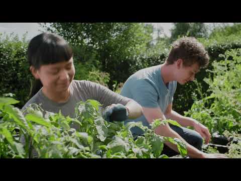 Välkommen till din studentlägenhet!