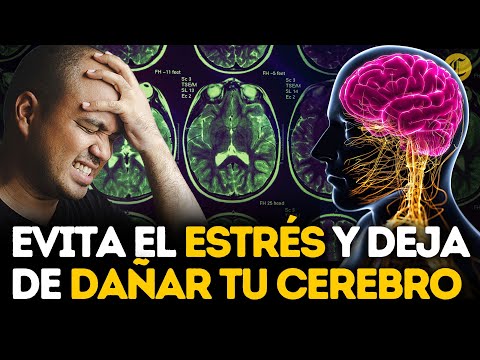 ESTE ES EL DAÑO que le hace el ESTRÉS a tu CEREBRO 🧠