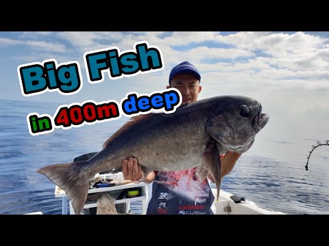 Deep dropping for Blue eyes trevalla off Sydney with Shimano Beastmaster 9000