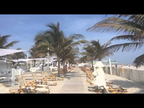 Rony Seikaly  - The World is Beautiful