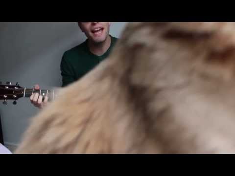 Joel Brooks - Samson blooper