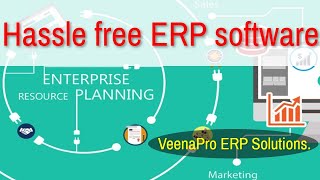 Hassle Free ERP Solutions in India - VeenaPro