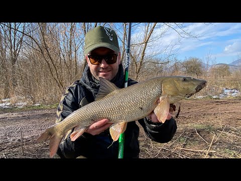 Mrena za sva vremena-NAJVECA DO SADA-Pecanje na plovak