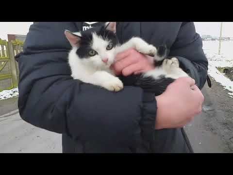 Sanki,pranki i petardy! Vlodzek #1