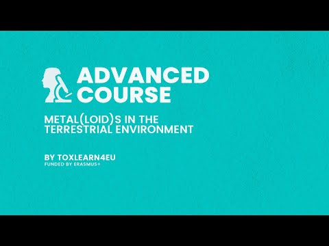 How Metals Travel Through Soil, Water, and Living Organisms