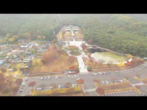 2018.11.09 Gyeongju-Salão de Unificação Avenida Ginkgo