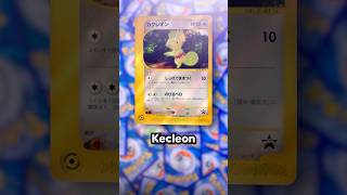 Have you Seen This Kecleon before?