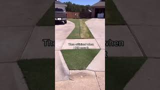 The Most Controversial Lawn on the Internet