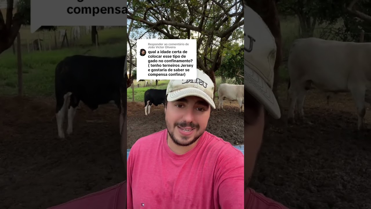 QUAL IDADE COLOCAR BOI NO GRÃO INTEIRO? #manejodepasto #confinamento #pecuariaintensiva #pecuaria