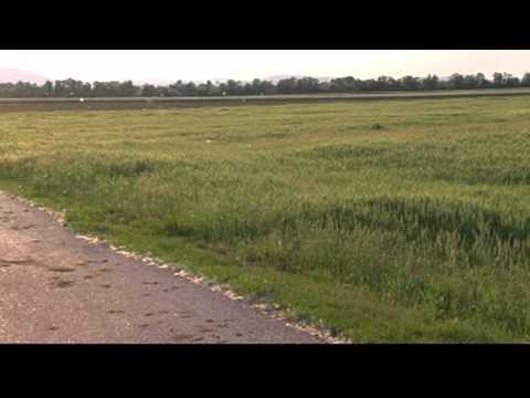 dreams of the sun    Tacheless feat. Ankathie