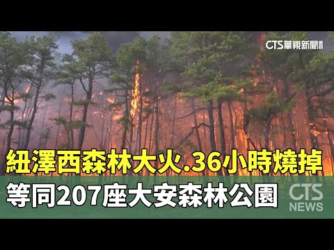 紐澤西森林大火　36小時燒掉等同207座大安森林公園