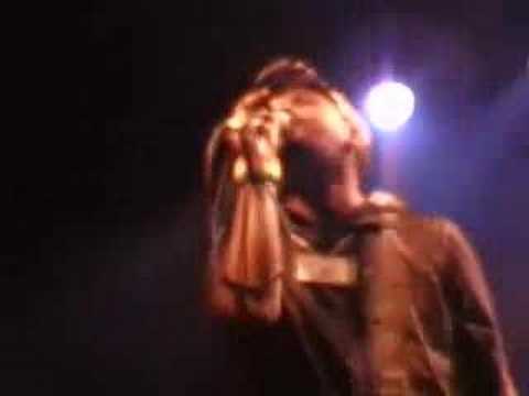 Vibronics feat. M.Parves aka. (The Dub Factory)