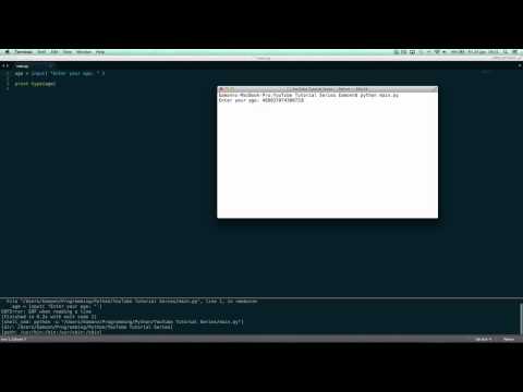 Python 2 7 Print Raw Input