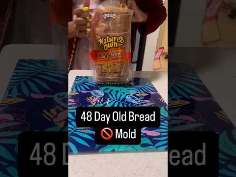 Bread That Refuses to Mold – 48 Days and Counting🍞🤔#processedfoods #preservatives #foodfacts #diy