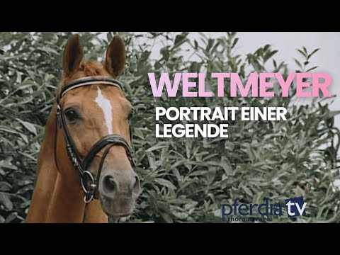 Weltmeyer – Die Geschichte der Dressur-Legende | Hannoveraner Stempelhengst