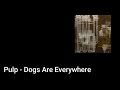 Pulp - Dogs Are Everywhere (Lyric Video)