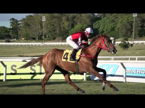 230205 c09 OLYMPIC MESSI (BRZ)