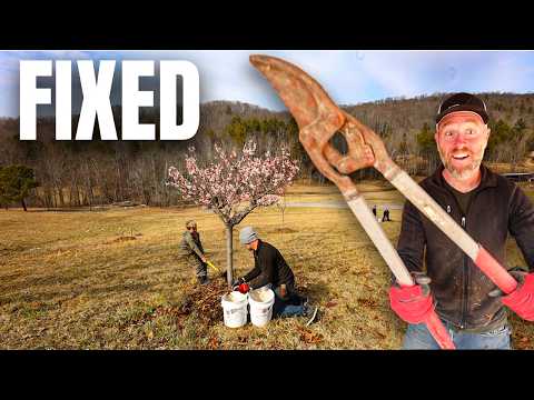 24-Hour Fruit Tree Farm Fix: A Permaculture Challenge