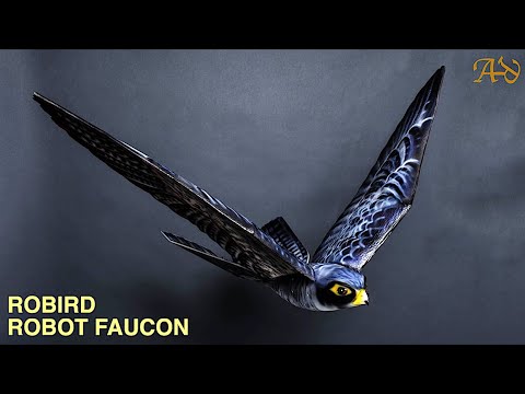 Robird - Robot Faucon