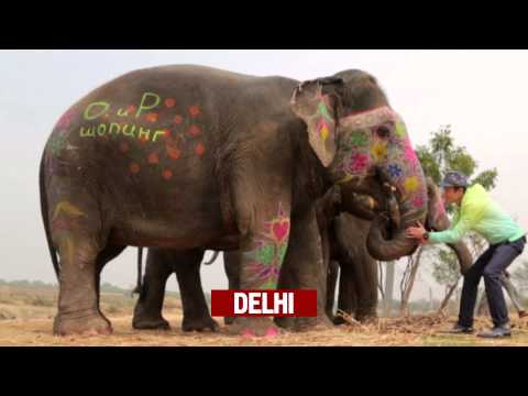 Heads & Tails. Shopping. Trailer