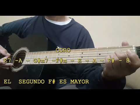 Usa Mi Vida - Danilo Montero