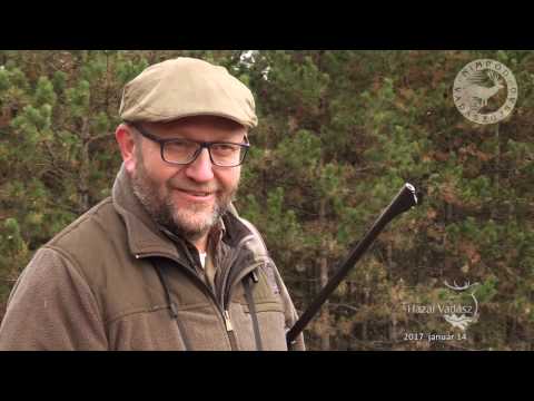 NIMRÓD Percek: egy rekord dámszarvas elejtésének története - 2017.01.14-i adás_145. adás
