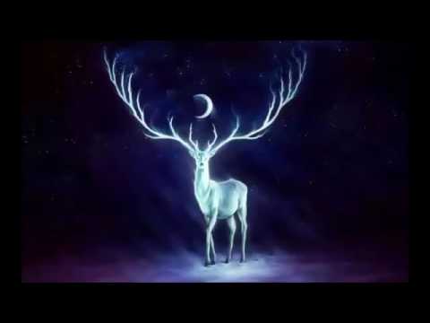 How To Create Miracles In Your Life - Stuart Wilde - Law Of Attraction Power - Stuart Wilde ✓