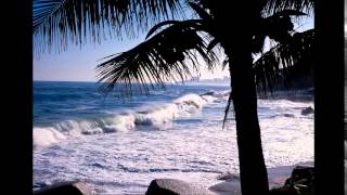 Lee Scratch Perry - Back at the Controls - "Rastafari on Wall Street"