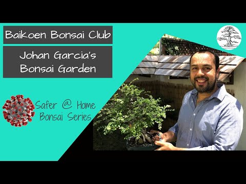 Johan Garcia's Bonsai Garden - Baikoen Bonsai Club - Safer @ Home Bonsai Series