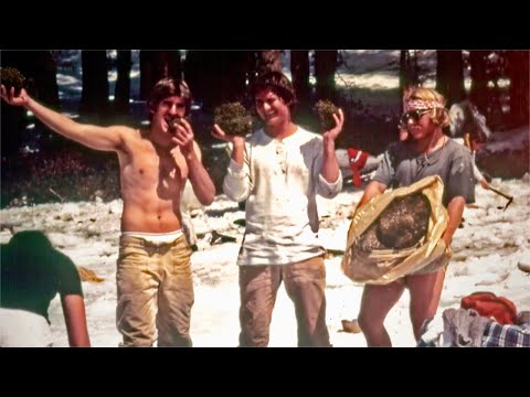 Yosemite Drug Plane Crash - Climbers Get Rich!