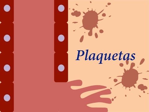Platelet physiology