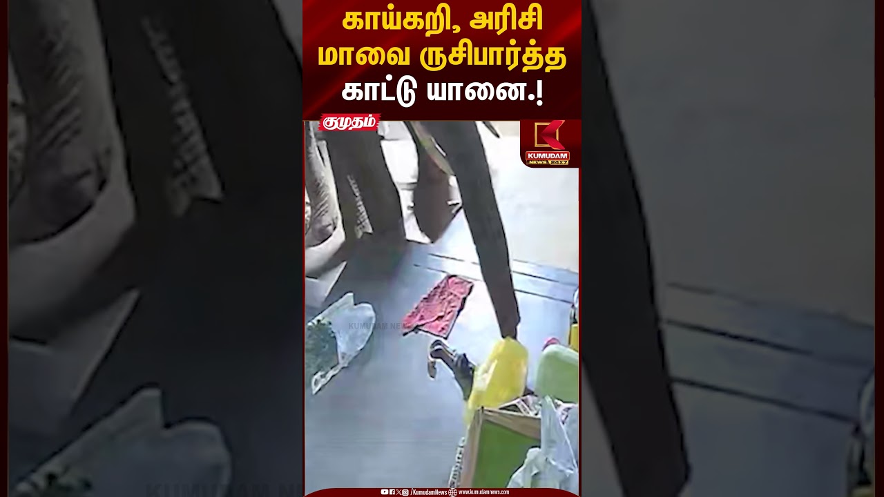 காய்கறி, அரிசி மாவை ருசிபார்த்த காட்டு யானை.! | Kumudam News