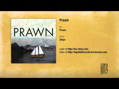 Video thumbnail for Praxis