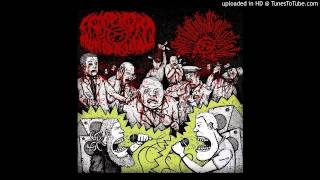 WxTxDxHxR - Thy Kingdom Won't Come (Agathocles cover)